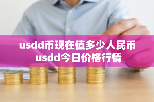 usdd币现在值多少人民币 usdd今日价格行情