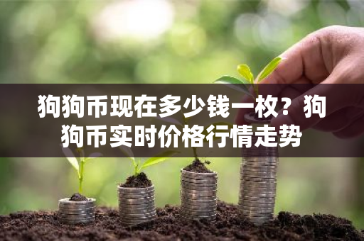 狗狗币现在多少钱一枚？狗狗币实时价格行情走势