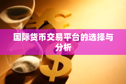 国际货币交易平台的选择与分析