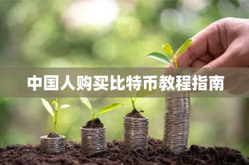 中国人购买比特币教程指南-第1张图片-ZBLOG 中国人购买比特币教程指南-第1张图片-ZBLOG