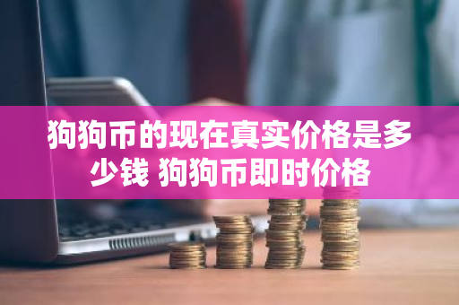 狗狗币的现在真实价格是多少钱 狗狗币即时价格