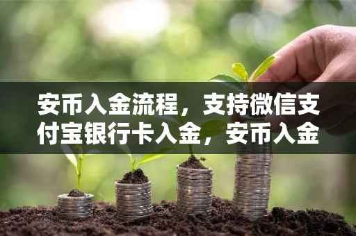 安币入金流程，支持微信支付宝银行卡入金，安币入金安全吗？