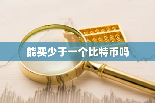 能买少于一个比特币吗-第1张图片-ZBLOG 能买少于一个比特币吗-第1张图片-ZBLOG