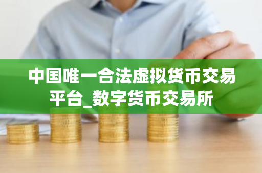中国唯一合法虚拟货币交易平台_数字货币交易所-第1张图片-ZBLOG 中国唯一合法虚拟货币交易平台_数字货币交易所-第1张图片-ZBLOG