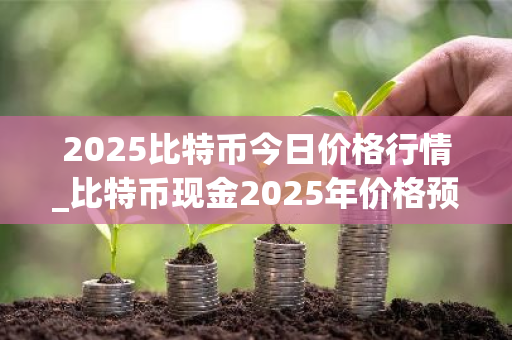 2025比特币今日价格行情_比特币现金2025年价格预测-第1张图片-ZBLOG 2025比特币今日价格行情_比特币现金2025年价格预测-第1张图片-ZBLOG