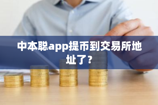 中本聪app提币到交易所地址了？