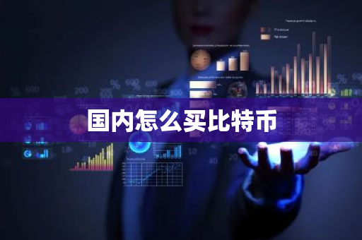 国内怎么买比特币