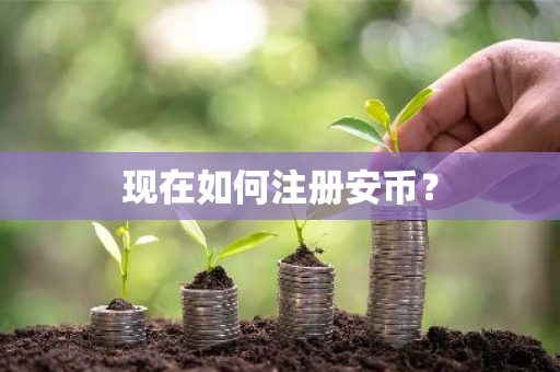 现在如何注册安币？