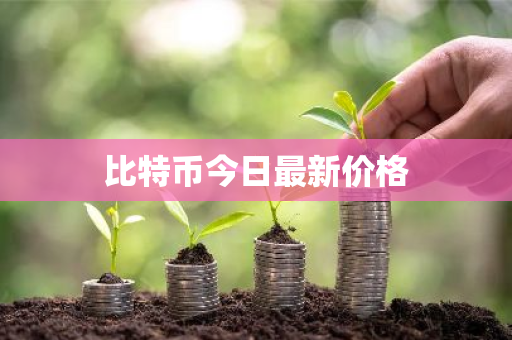 比特币今日最新价格-第1张图片-ZBLOG 比特币今日最新价格-第1张图片-ZBLOG