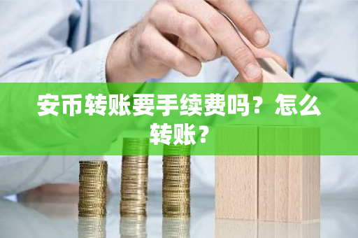 安币转账要手续费吗？怎么转账？