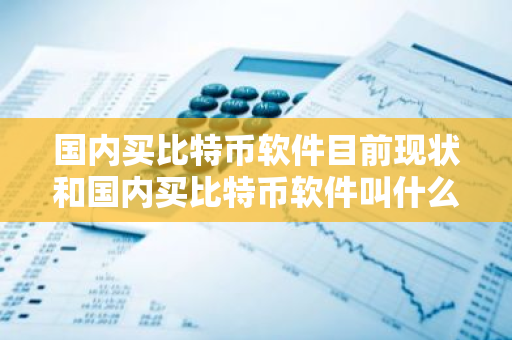国内买比特币软件目前现状和国内买比特币软件叫什么详细介绍