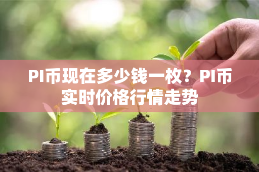 PI币现在多少钱一枚？PI币实时价格行情走势