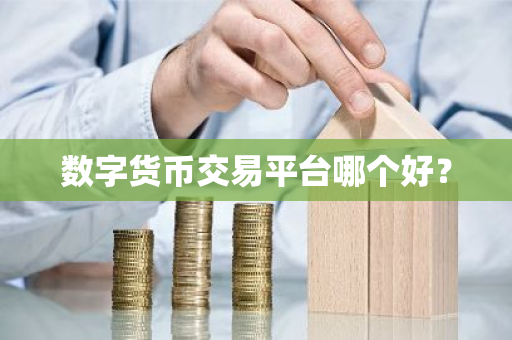数字货币交易平台哪个好?-第1张图片-ZBLOG 数字货币交易平台哪个好?-第1张图片-ZBLOG