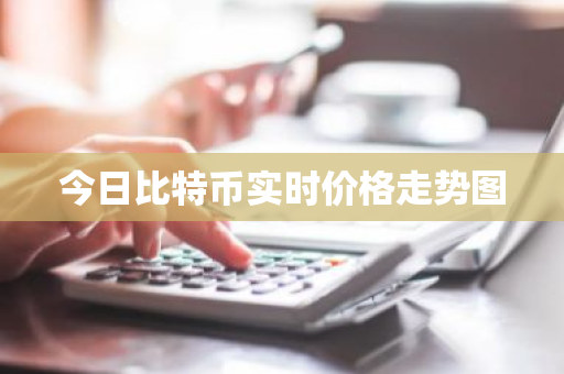 今日比特币实时价格走势图